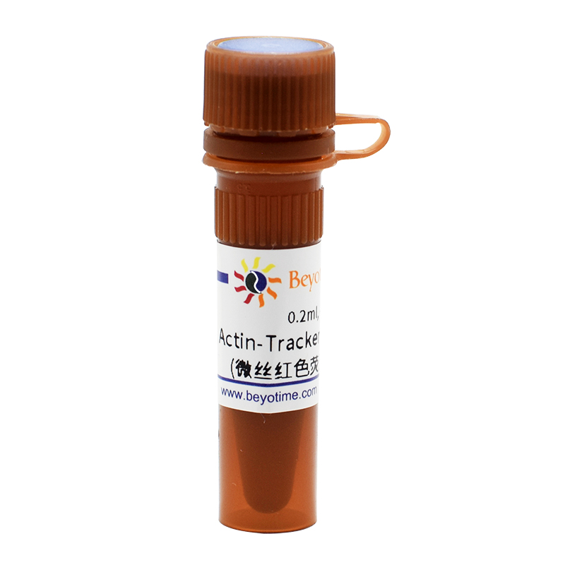 Actin-Tracker Red-594 (微丝红色荧光探针)