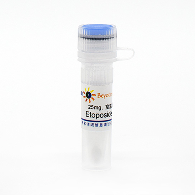 Etoposide (Topoisomerase抑制剂)