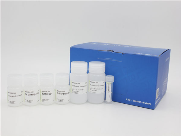 Ezup 柱式细菌基因组 DNA 抽提试剂盒