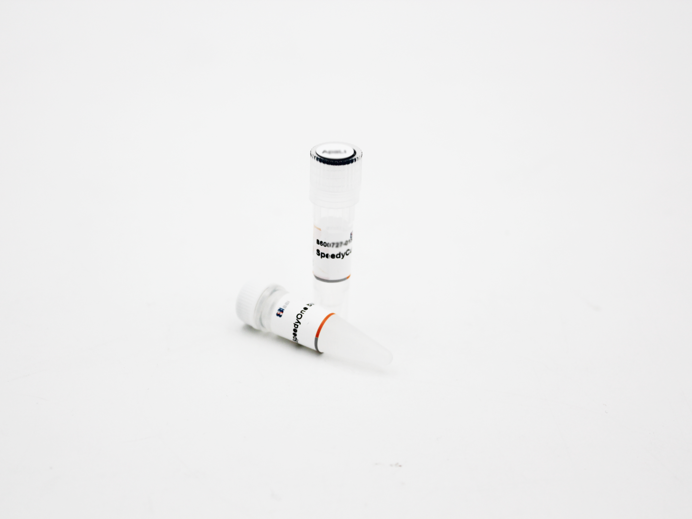 SpeedyCut  BamHI 快切酶