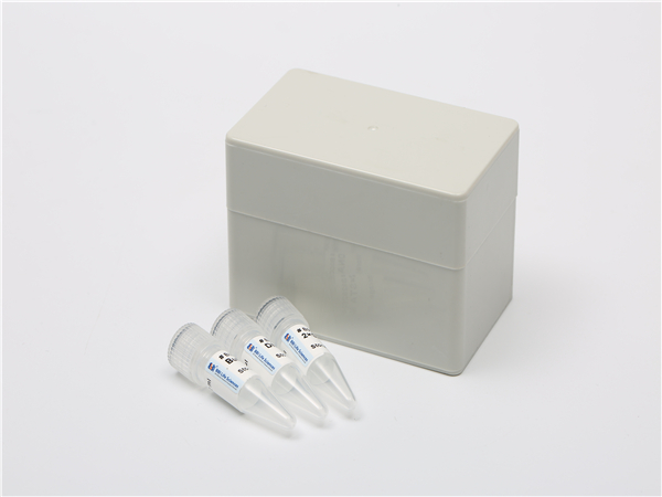 6-溴噻吩并[3,2-b]噻吩-2-羧酸