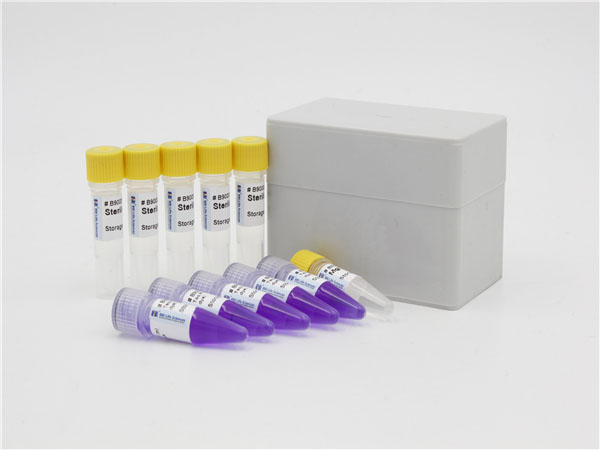 Taq PCR Mix 预混液（2X, 含蓝染料）