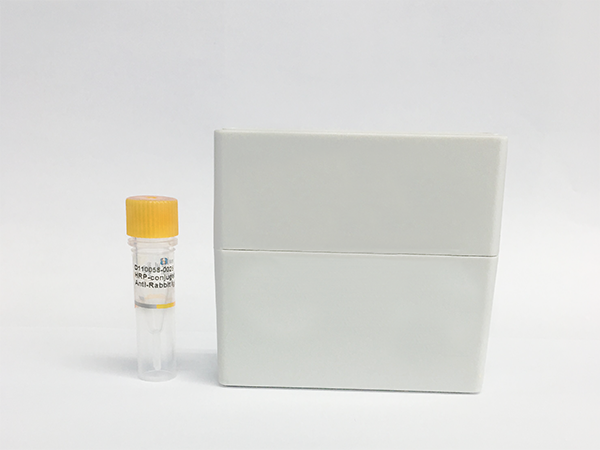 十一-10-炔酸2,5-二氧代吡咯烷-1-基酯