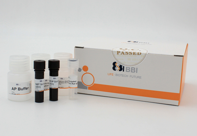 ethyl1-(2-chlorophenyl)-4-methyl-6-oxo-1,6-dihydropyridazine-3-carboxylate